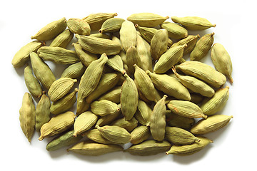 Image showing Cardamom