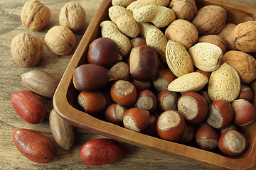 Image showing Nuts