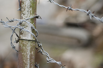 Image showing Barbed Wire on Post