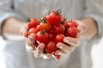 Image showing Cherry Tomatoes in Womans Hands