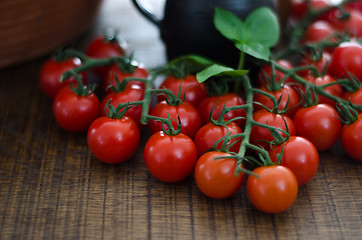 Image showing Cherry Tomatoes on Stalks