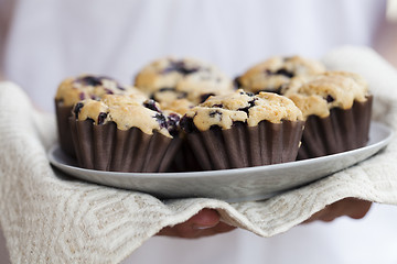 Image showing Blueberry muffins