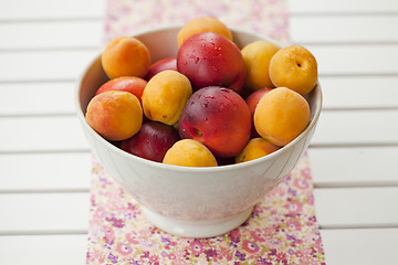 Image showing Apricots and nectarines