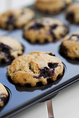 Image showing Blueberry muffins