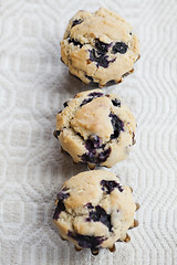 Image showing Blueberry muffins