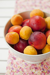 Image showing Apricots and nectarines