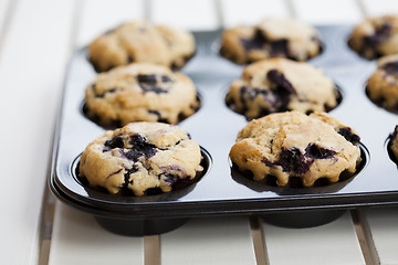 Image showing Blueberry muffins