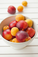 Image showing Apricots and nectarines