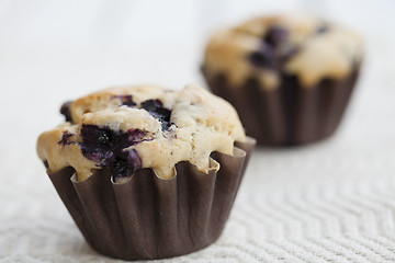 Image showing Blueberry muffins