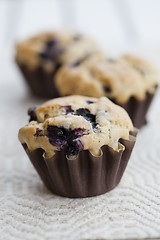 Image showing Blueberry muffins