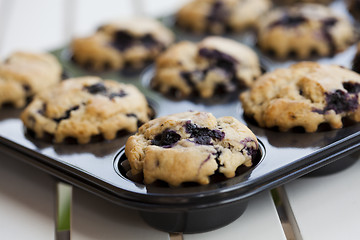 Image showing Blueberry muffins