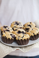 Image showing Blueberry muffins