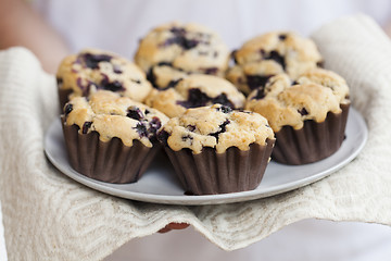 Image showing Blueberry muffins