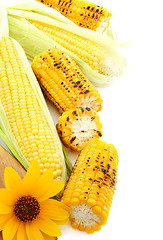 Image showing Flower,grilled corn and fresh cobs with green leaves