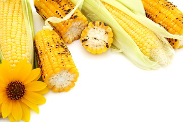 Image showing Fresh cobs with green leaves and grilled corn.