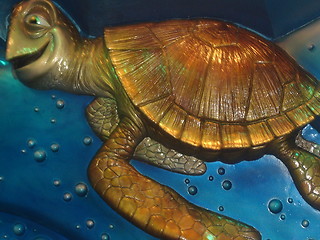 Image showing Happy Turtle