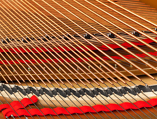 Image showing Interior of grand piano with strings