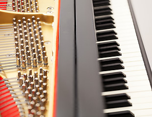 Image showing Interior of grand piano with keys