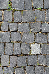 Image showing Paving stone