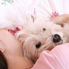 Image showing Dog sleeping on bed 