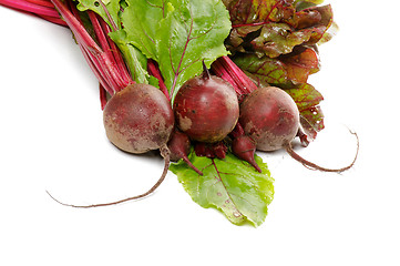 Image showing Bunch of Perfect Raw Young Beets and Beet Tops
