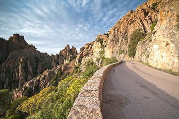 Image showing Red cliffs in Corsica