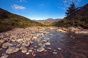 Image showing River in Corsica