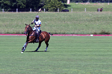 Image showing Polo player