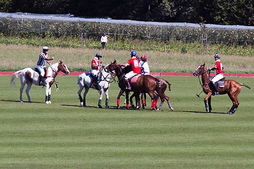 Image showing Polo match