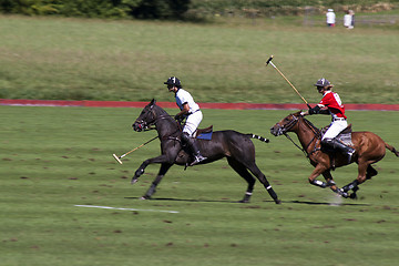 Image showing Polo players