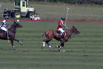 Image showing Polo players