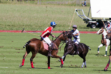 Image showing Polo match