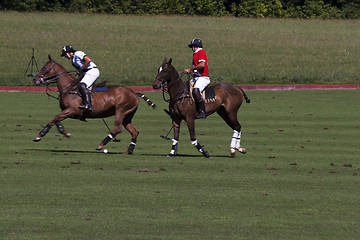 Image showing Polo match