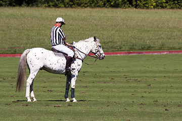 Image showing Umpire