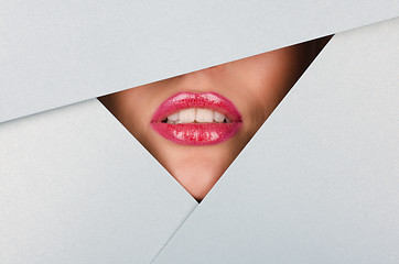 Image showing Beautiful female lips
