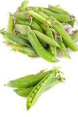 Image showing Ripe pea