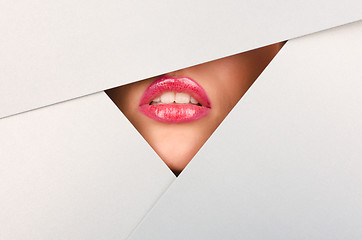 Image showing Beautiful female lips