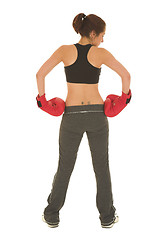 Image showing Boxer #18