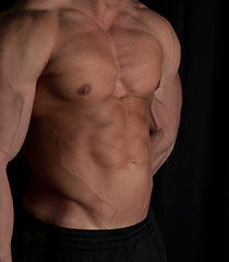 Image showing bodybuilder