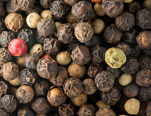 Image showing Macro photo of mixed red, white and black peppercorn seeds