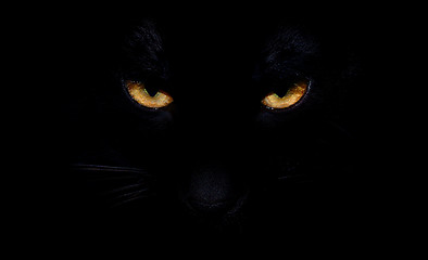 Image showing Black Cat Eyes