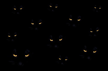 Image showing Evil Cats