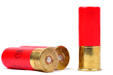 Image showing Shotgun Shells