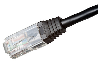 Image showing Cable with RJ-45 connector