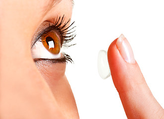 Image showing Contact Lens