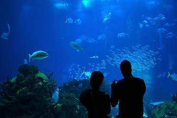 Image showing Couple in a Big Aquarium