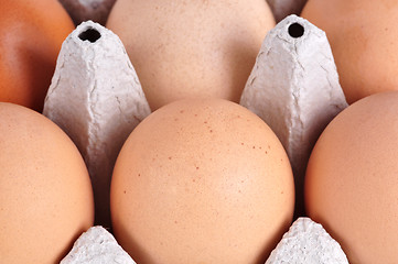 Image showing Box of Eggs