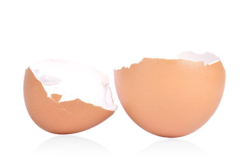 Image showing Egg Shell