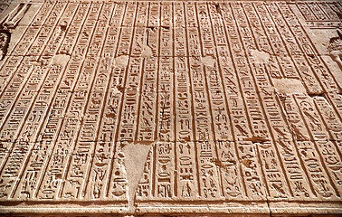 Image showing Hierogliphic scripts