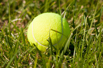 Image showing Tennis Ball